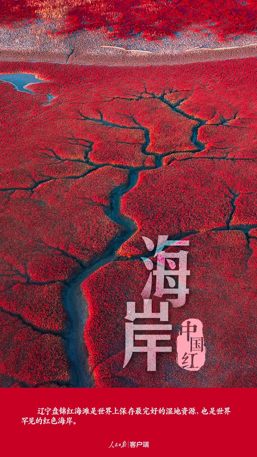 微信图片_20211004114339.jpg